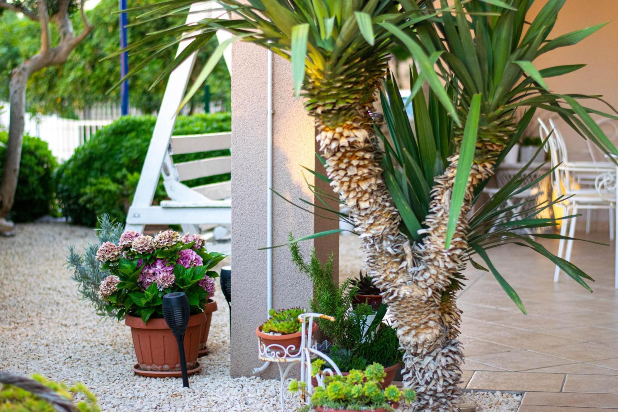 Apartments Anita Frane Vodice Ngoại thất bức ảnh