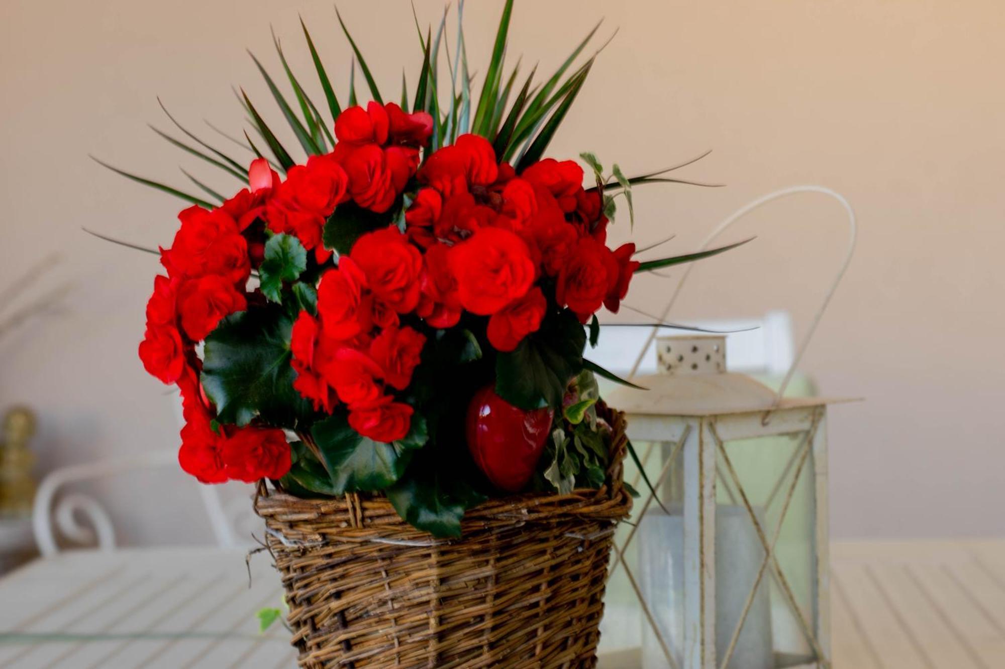 Apartments Anita Frane Vodice Ngoại thất bức ảnh